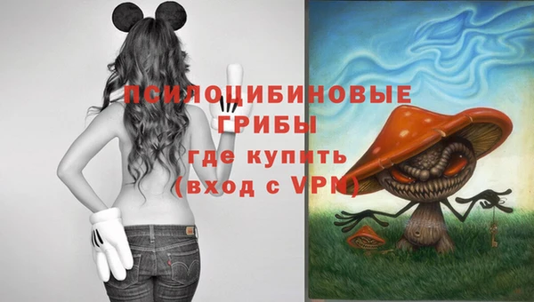 ALPHA PVP Алексеевка