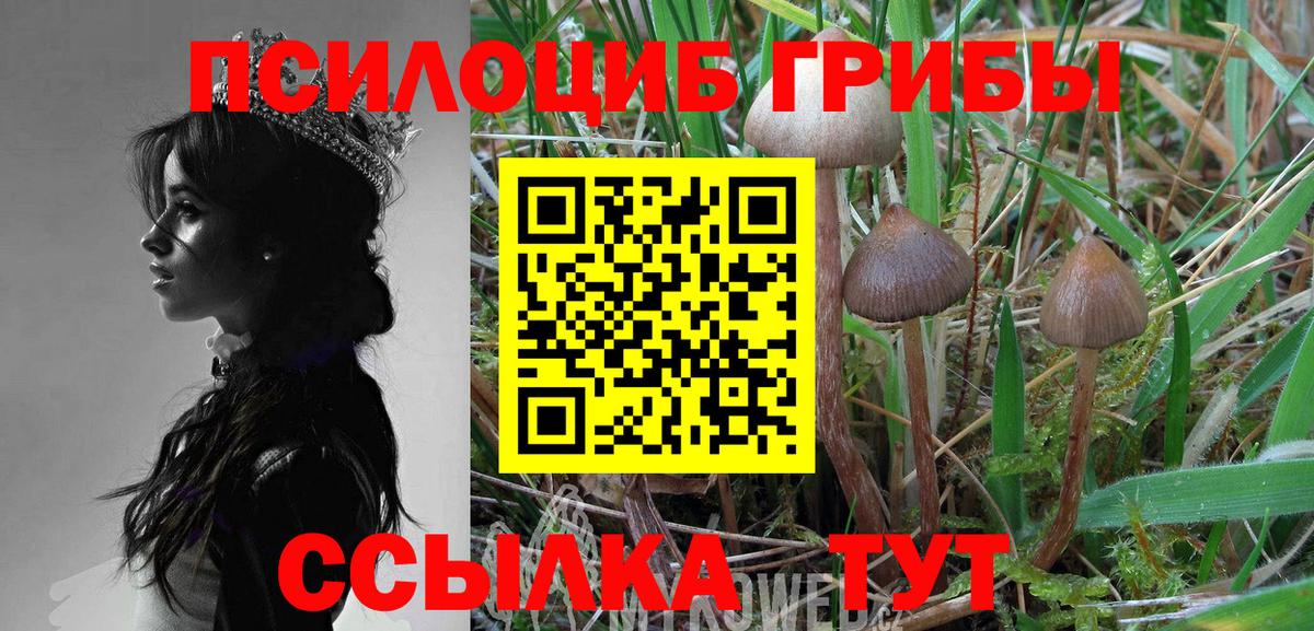 Галлюциногенные грибы GOLDEN TEACHER Кемерово