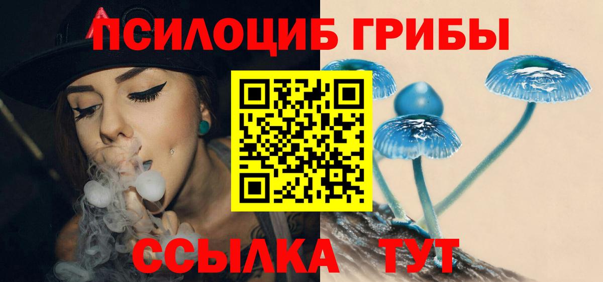 Кемерово  Псилоцибиновые грибы мухоморы  Галлюциногенные грибы мухоморы  Вход с VPN 