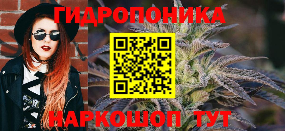 Каннабис SATIVA & INDICA  Бошки Шишки сатива  Вход с VPN  Кемерово  Бошки марихуана SATIVA & INDICA 